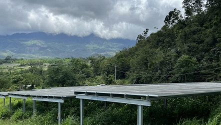 台東男朝鄰居開槍逃逸 躲山區6天吃野菜度日投案