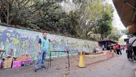 台中大坑步道樹木斷枝掉落  市府：已派員清除