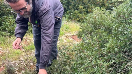 義大利薩倫托「採食文化」獨特　野蔬、小蝸牛入菜