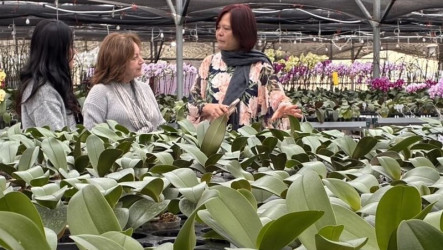 台美新經貿　蘭花業者籲思考貼近市場在地化生產