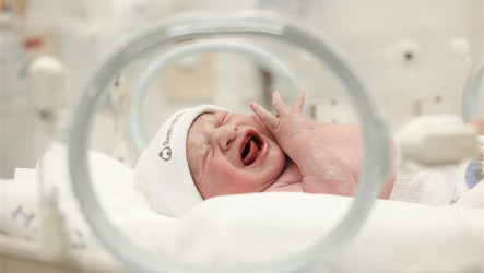 早產兒藥凱適福疑汙染　食藥署發紅燈警訊回收