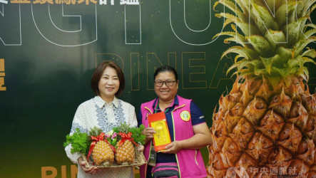 屏東金鑽鳳梨評鑑 潮州農友摘冠並獲甜度王