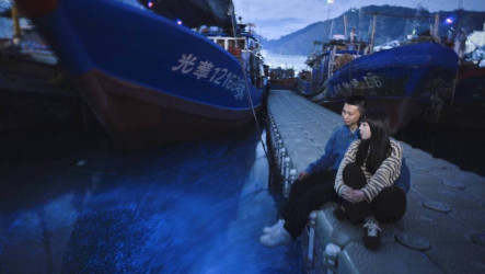 馬祖藍眼淚登場　多管道方便民眾「追淚」