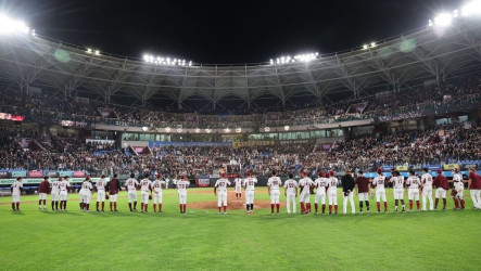 樂天桃園球場區民招待　桃市府邀看球賽挺桃猿