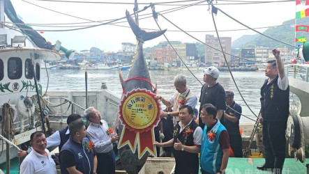蘇澳第一鮪拍賣　成交總價近199萬