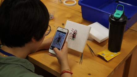 奧萬大辦昆蟲標本製作研習 只用「窗殺」屍體當素材