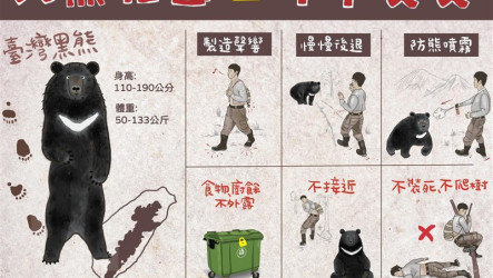 黑熊身影現棲蘭山區　林保署宜蘭分署首次拍攝