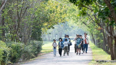 屏東平地森林園區學童賞鳥賽 記錄到56種鳥類創新高