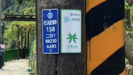 電桿化身山林守護者　台電揭「桿號」指路密碼