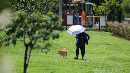 南屏防高溫　吳德榮：23日起雨區由北而南擴大