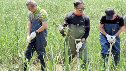 打造北台灣首座國際級濕地　星展投入3000萬守護淡水河