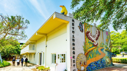 桃園市野生動物救傷收容中心啟用　盼增救援成功率