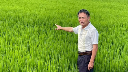 南投稻農領獎金遭停發老農津貼　農業部研究協助