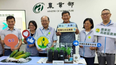 高雄農改場推木瓜智慧灌溉與防蟎　採收估增2成