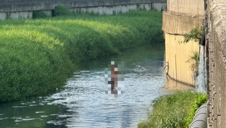 台南男子騎機車誤闖國道出車禍　跳到河道被救起