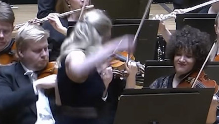 芬蘭演出驚魂　指揮動作不慎碰落億元名琴