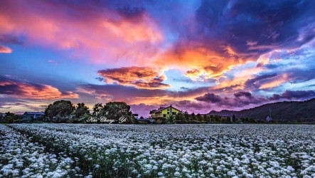 桃園大溪中庄休閒農業區獲劃定　具觀光發展潛力