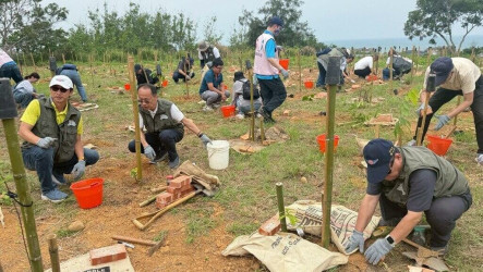 種千株原生植物　台61線打造首座公路生態樹島