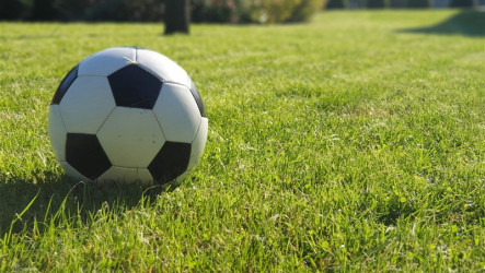 台灣女足要求撤換總教練　足協：朝解聘方向前進