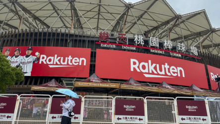 雨勢影響　中職龍猿戰、悍將兄弟戰延賽