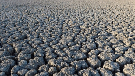 世界氣象組織：聖嬰現象最快5至7月出現　預估將強烈