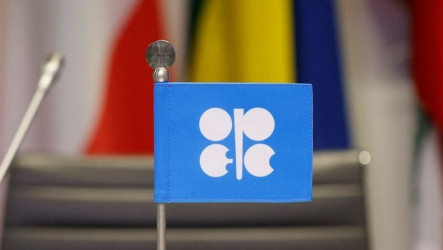 阿聯不願受限退出OPEC　凸顯與沙烏地決策分歧
