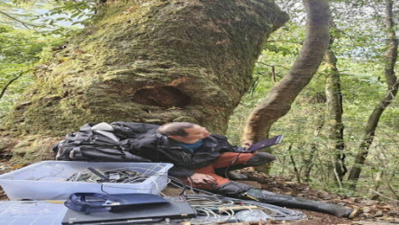 黃魚鴞築空中育嬰室　暗夜王者育雛直播全紀錄