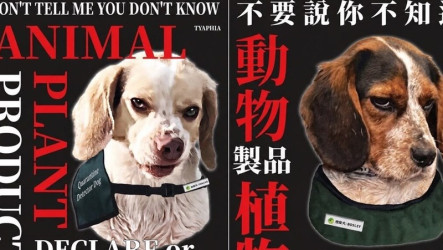 桃機檢疫犬凶狠海報紅到日本　台灣諧音哏引熱議