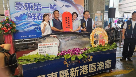 台東黑鮪魚季  饒慶鈴頒20萬獎金、主持第一鮪拍賣