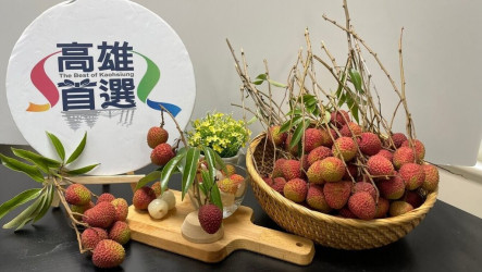 高雄玉荷包禮盒上市　推早鳥優惠訂購