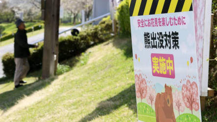 日本熊害疑再起　2名長者陳屍山區且有外傷