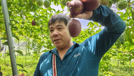 因應食安與產地標準提高　家樂福契作占比飆8至9成