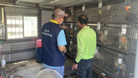 台南學甲疑犬隻不當飼養　動保處稽查要求改善