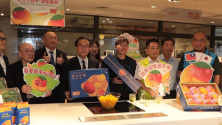 台南芒果估增產　結合百貨通路推頂級品全台預購