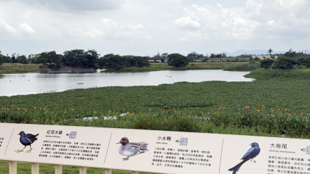 大仁滯洪池結合生態休閒啟用　大武山下水岸後花園