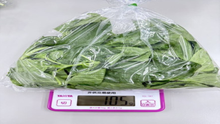 北市抽驗58件蔬果　藥殘違規9件九層塔就占4件