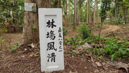 嘉南里山市集23日嘉義樹木園登場　推友善生態