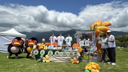 奔向花海 花蓮六十石山金針花超半程馬拉松開放報名