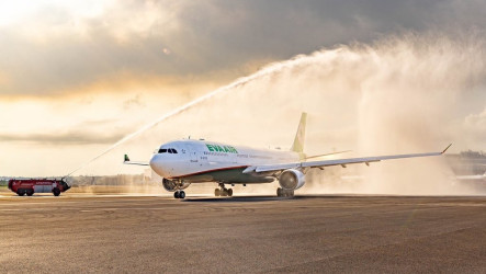 長榮航空高雄3航線放大機型　布局南部市場