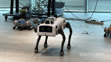 韓國發展AI現場應用  投入巡邏、醫療等領域
