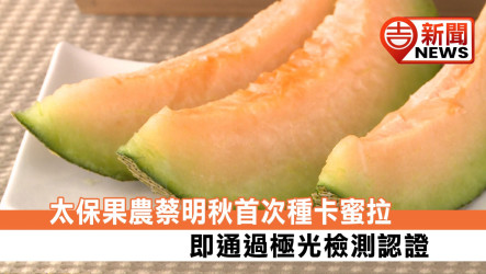 太保果農蔡明秋首次種卡蜜拉 即通過極光檢測認證