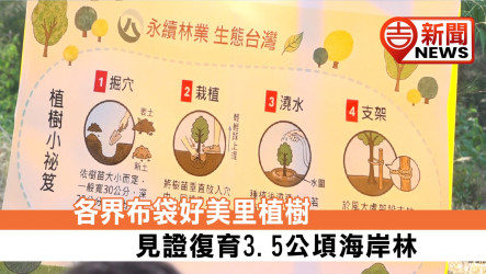 各界布袋好美里植樹 見證復育3.5公頃海岸林