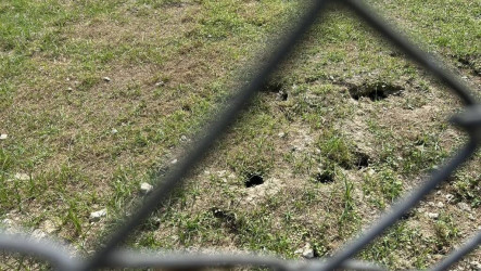 網指基隆南站草地成老鼠窩  台鐵遭罰9600元