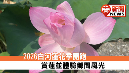 2026白河蓮花季開跑 賞蓮並體驗鄉間風光