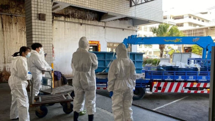 長須鯨死亡擱淺花蓮海岸　科博館將製標本