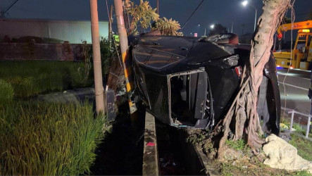 台中梧棲車禍　小客車自撞路樹釀2死1傷