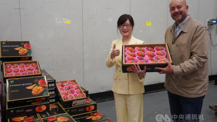 台灣芒果進軍法國主打高檔通路　進口商大讚頂級