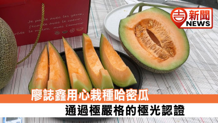 廖誌鑫用心栽種哈密瓜 通過極嚴格的極光認證