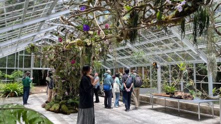 阿里山植物園溫室浮光界開幕　升級森林療癒體驗