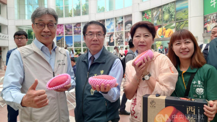 芒果銷韓優惠關稅延長　陳駿季：台南產地利多